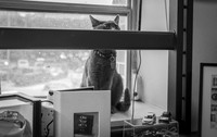 DSC_1464