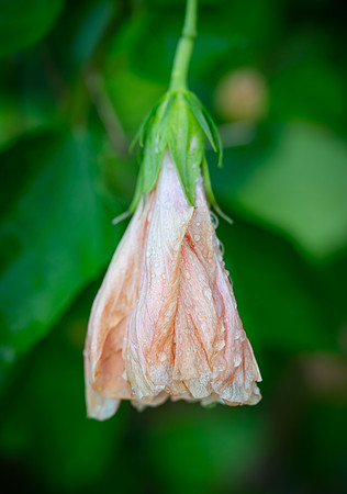 DSC_0153
