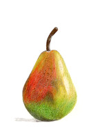 Pear - CP - 25
