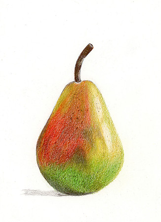 Pear - CP - 25