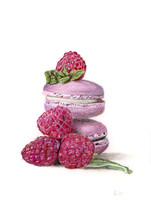 Rasberries & Cookies CP- 25