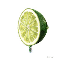 lime-cp 26