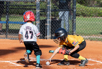Marlins 14