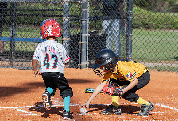 Marlins 14