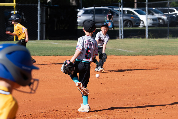 Marlins 8