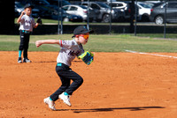 Marlins 6