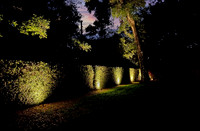 Backyard at Sunset
