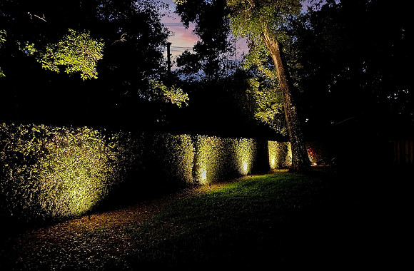 Backyard at Sunset