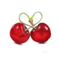 Cherries - CP 26