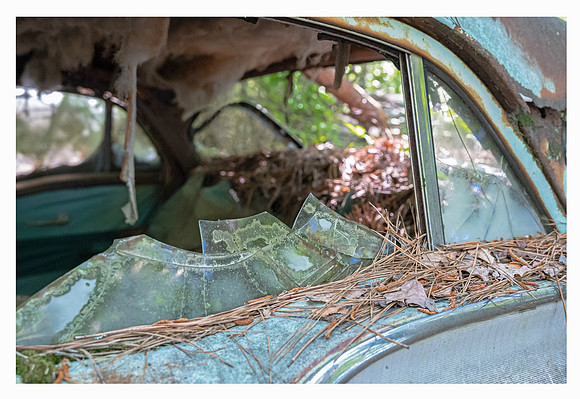 DSC_3405_1