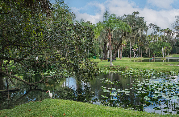 WBP_7596_1