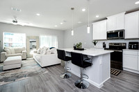 Living Room Kitchen View