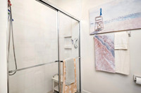 Primary Bath Shower
