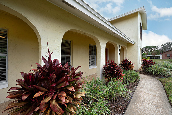 Front Walk Way 2