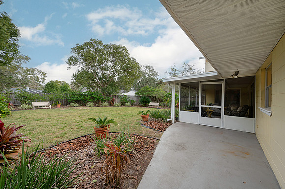 Backyard Patio Walkway Vuew