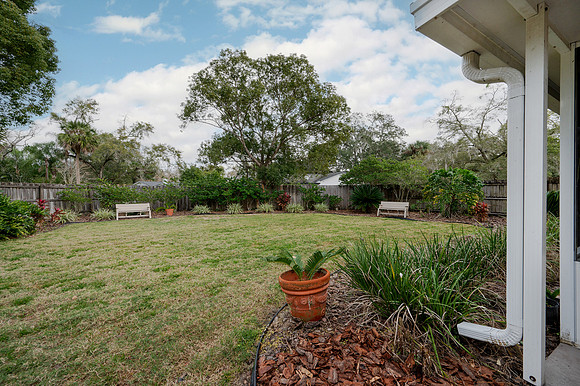 Backyard Corner