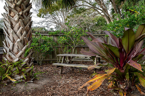 Backyard Picnic table Corner