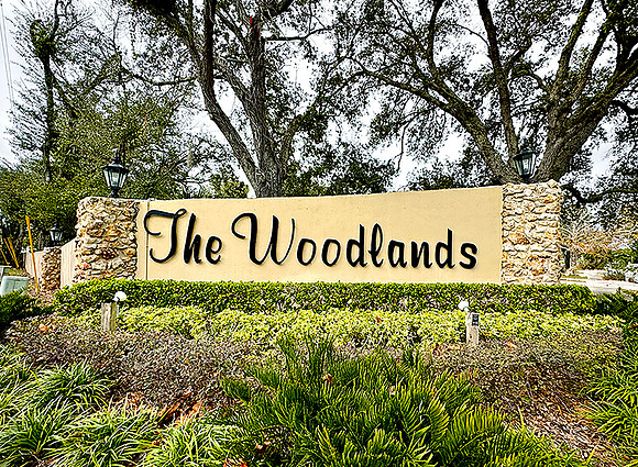 The Woodlands