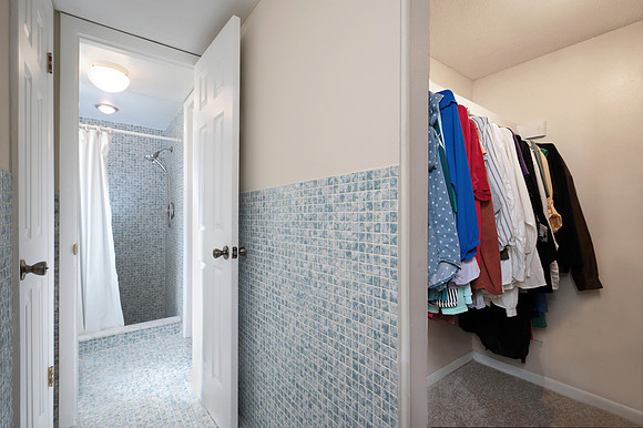 Master Bedroom Hall Closet