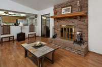 Living Room Fireplace Area