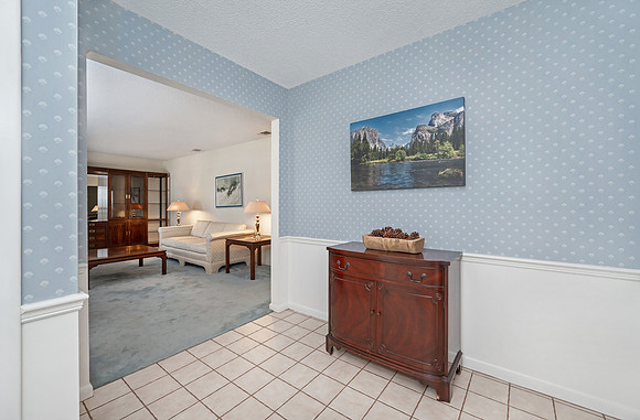 Foyer to Living Room View