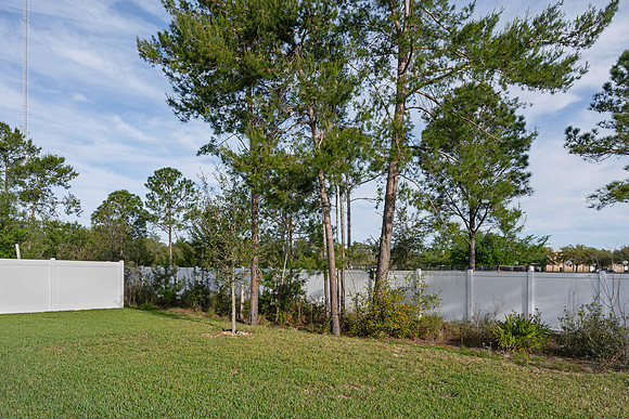 Backyard Left Corner