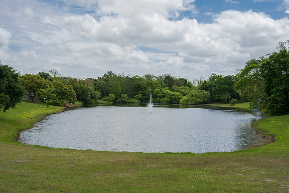 DSC_1255