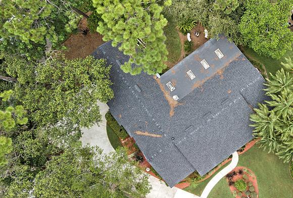 Top2 edited