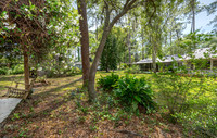 Back Yard 3