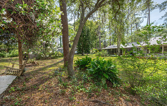 Back Yard 3