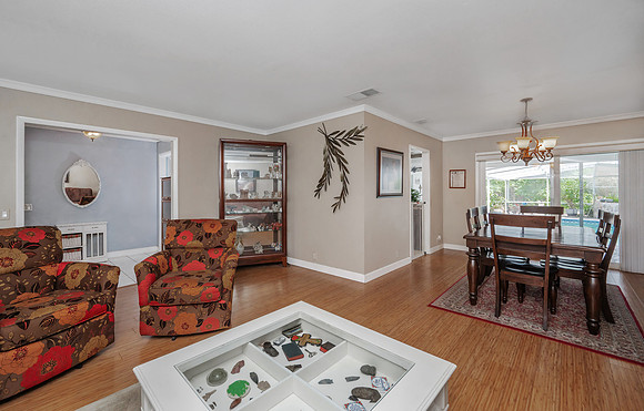 Living Room to Dining Room View