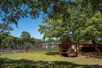 Park Area