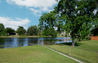 WBP_1264