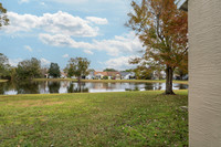 Backyard pond view