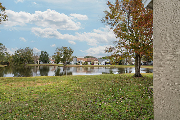 Backyard pond view