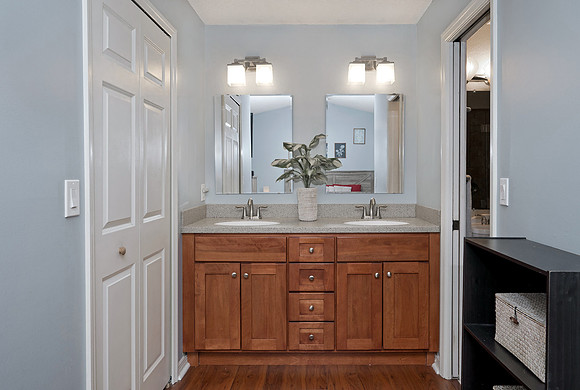 Primary Bath vanity