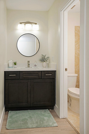 Primary Bath Vanity